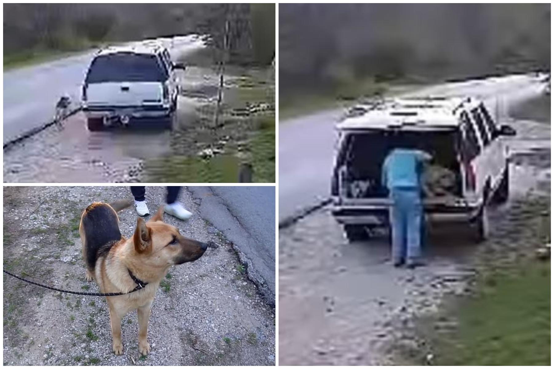 Câinele abandonat a luat-o la goană în urma maşinii stăpânului