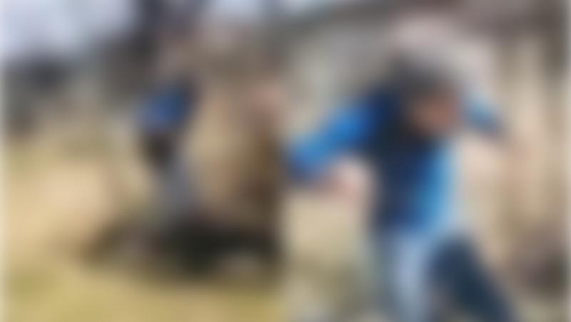Șcene ireale într-o școală din Bacău. Elev, umilit de colegi, după ce l-au obligat să intre într-o cuşcă de câini