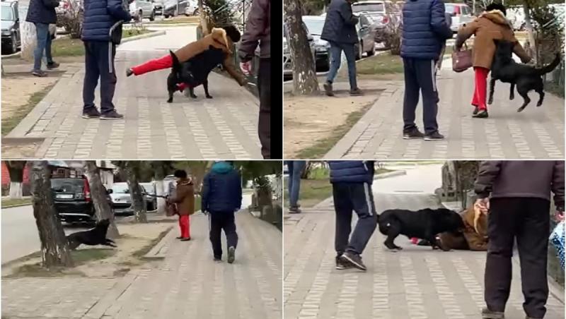 Scene revoltătoare în Nehoiu. O femeie e pusă la pământ de un câine şi nimeni nu-i sare în ajutor: "Uităm că toţi putem ajunge bolnavi şi neputincioşi?"