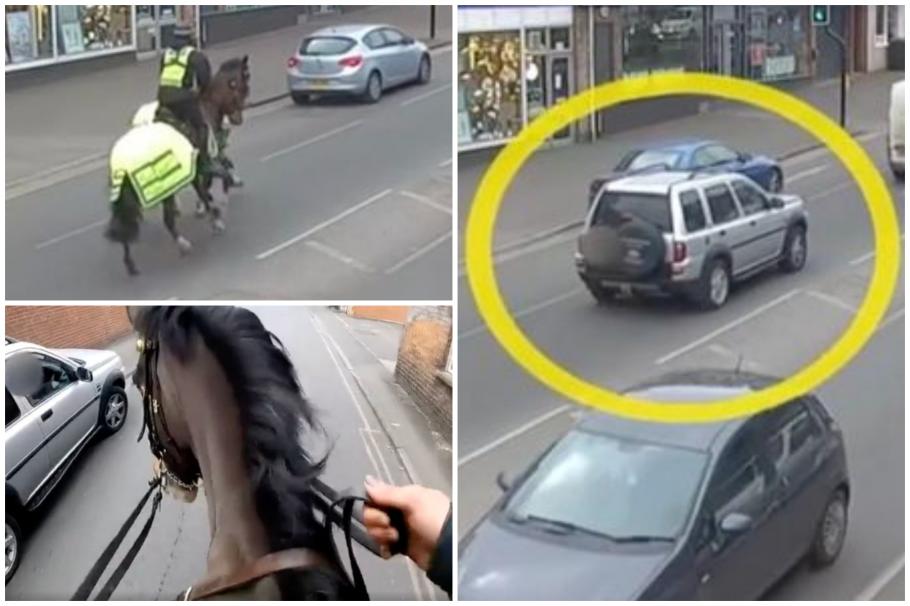 Reacţia şoferului oprit de poliţiştii călare Reacţia şoferului oprit de poliţiştii călare