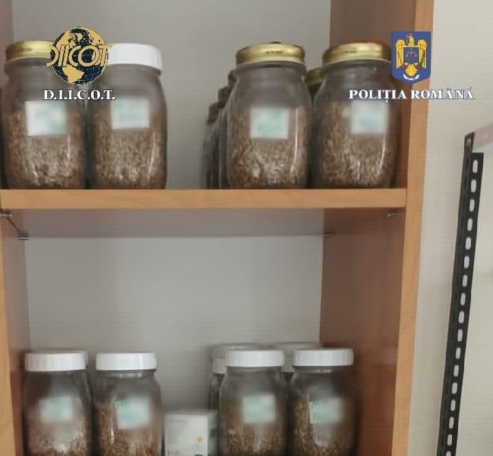 Droguri confiscate din apartamentul bucureșteanului