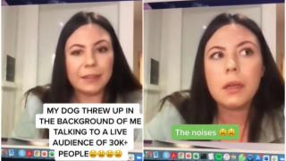 Câinele unei cercetătoare i-a întrerupt videoconferinţa cu 30.000 de participanţi, când a început să vomite pe fundal