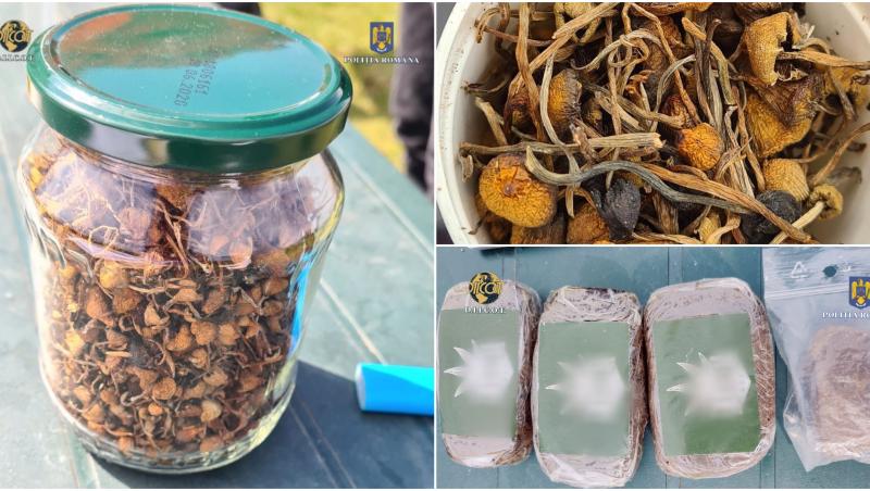 Petrecere cu cannabis şi ciuperci halucinogene într-un camping din Vâlcea. Doi tineri, arestaţi pentru 30 de zile