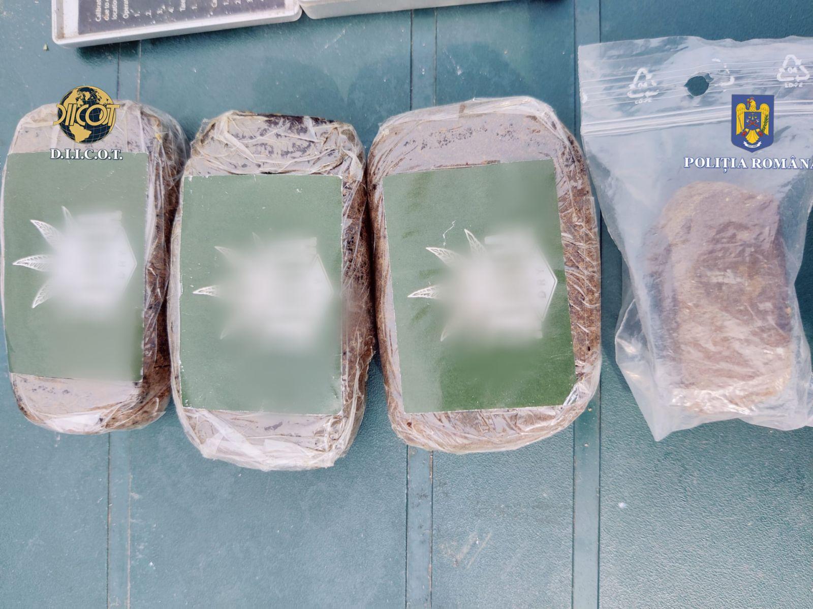 Petrecere cu cannabis şi ciuperci halucinogene într-un camping din Vâlcea. Doi tineri, arestaţi pentru 30 de zile