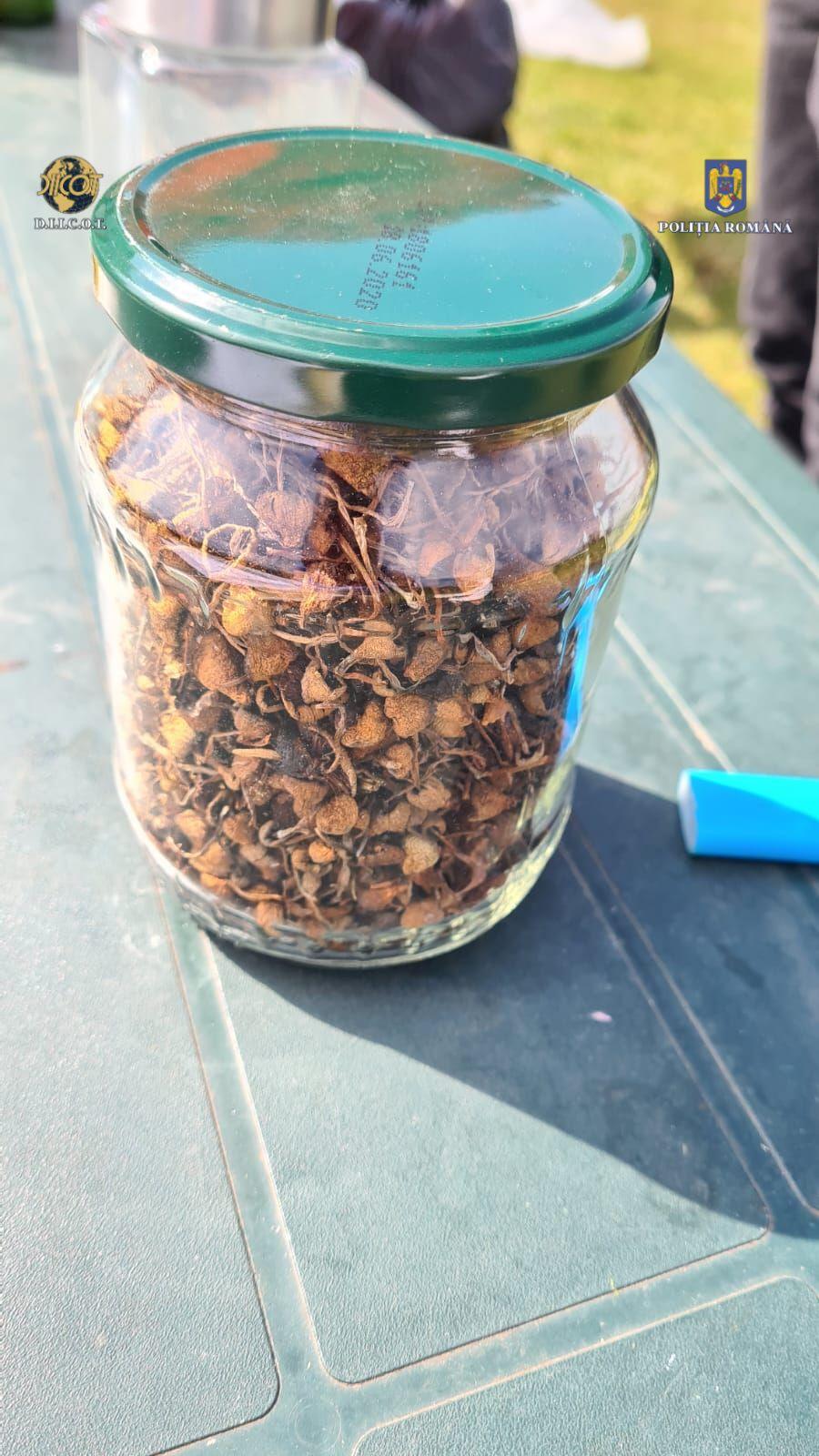 Petrecere cu cannabis şi ciuperci halucinogene într-un camping din Vâlcea. Doi tineri, arestaţi pentru 30 de zile