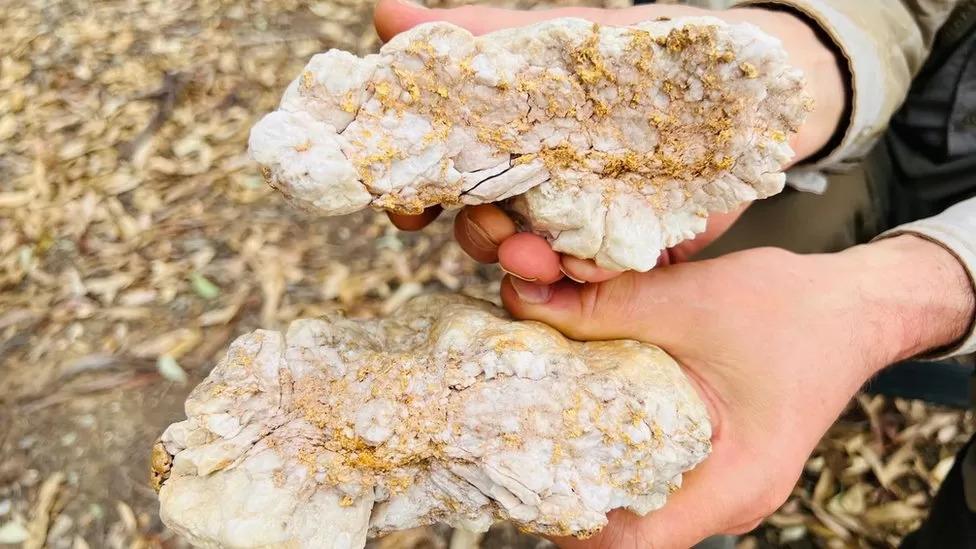 rocă plină cu aur descoperită în Australia