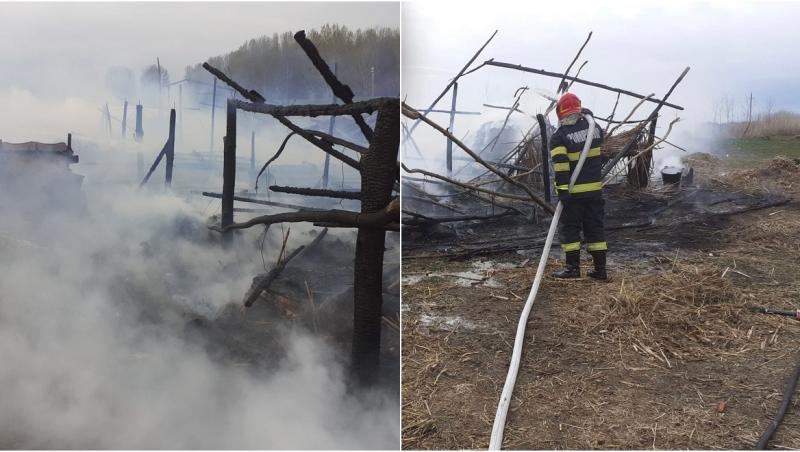 Un incendiu puternic a făcut scrum o stână din Tulcea. Aproximativ 100 de oi au ars. Focul ar fi pornit de la țigară aprinsă