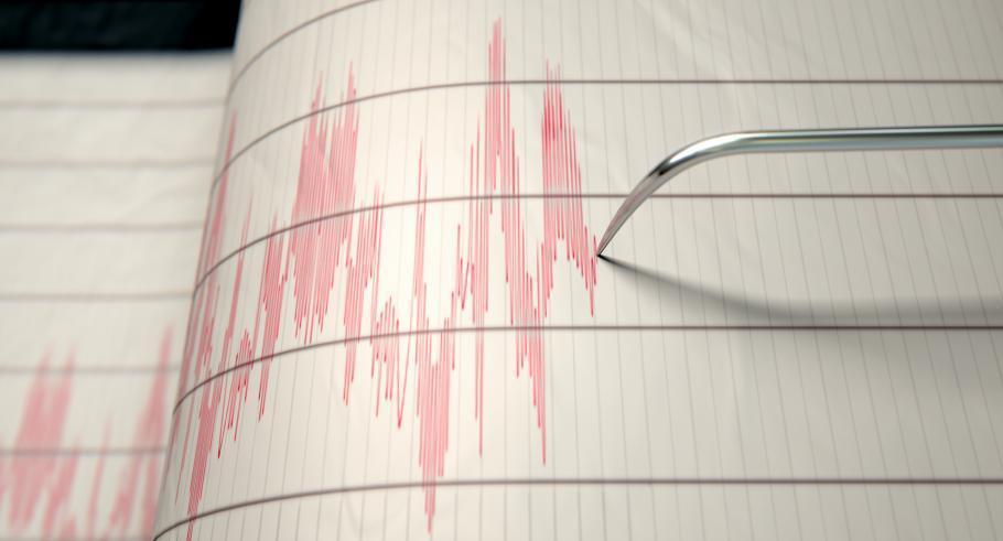 Cutremur de 3,9 pe Richter în zona Vrancea Cutremur de 3,9 pe Richter în zona Vrancea