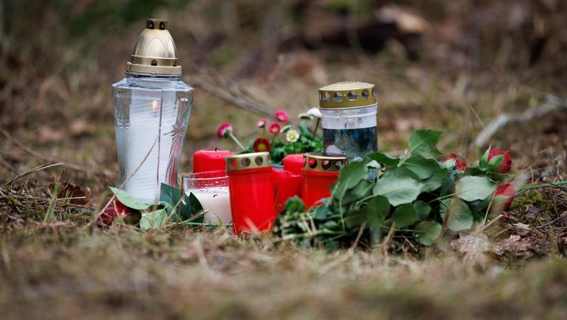 ''Oaia neagră a familiei'' şi-a decapitat bunica cu mai multe lovituri de topor. Tânărul din Germania ar fi vrut să-i fure banii din casă