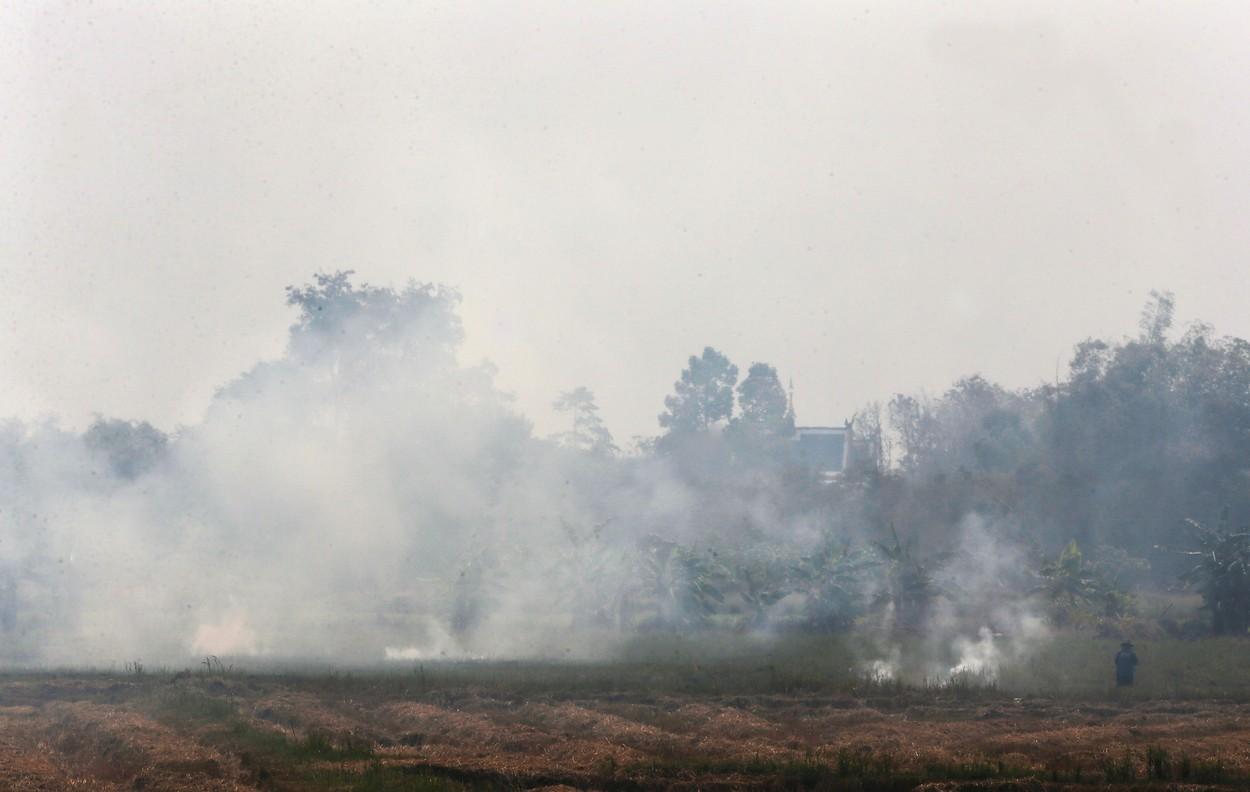 Aer "otrăvit" în Bangkok. Peste 1,3 milioane de persoane s-au îmbolnăvit iar 200.000 au fost spitalizate în ultima săptămână