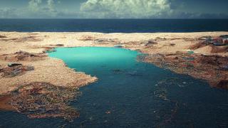 "Marea Insulă de Gunoaie" din Oceanul Pacific şi-a format propriul ecosistem. Creaturile care trăiesc aici provin de la mii de kilometri distanţă