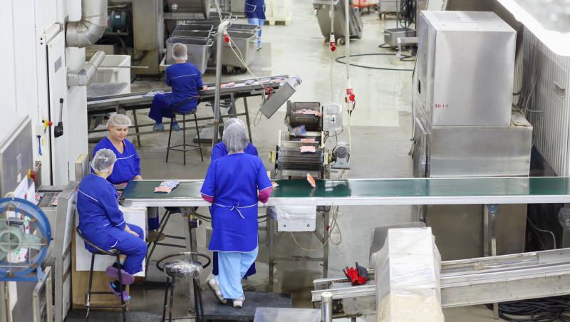 Jobul plătit cu 18 euro pe oră. Angajatorul norvegian oferă 70 de locuri de muncă şi asigură banii de chirie