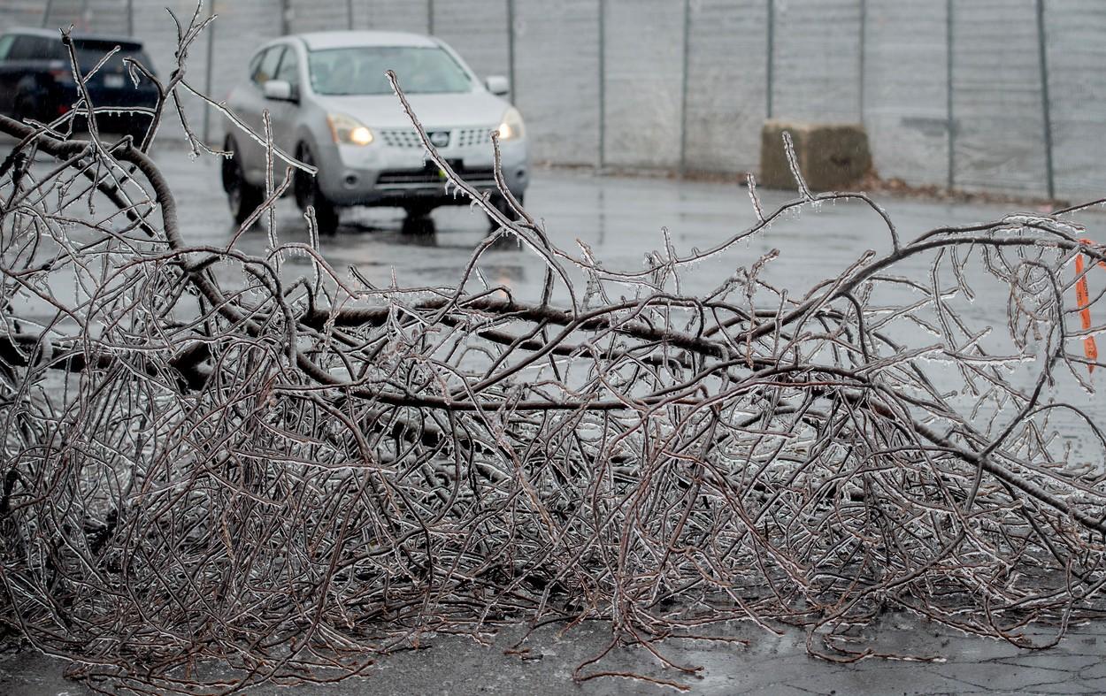 O furtună de gheață a paralizat Canada. Peste un milion de oameni au rămas fără curent, după ce copacii s-au prăbușit peste cablurile electrice