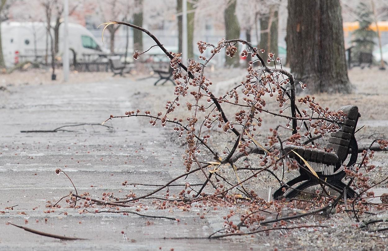 O furtună de gheață a paralizat Canada. Peste un milion de oameni au rămas fără curent, după ce copacii s-au prăbușit peste cablurile electrice