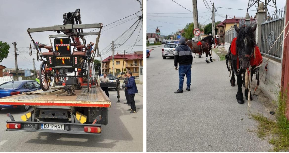 Nuntă stricată de poliţie. Poliţiştii locali au ridicat trăsurile unor miri din Craiova