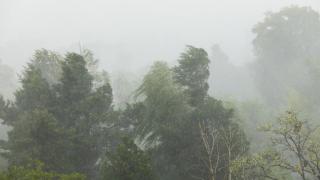 Trei sferturi din țară, inclusiv Capitala, sub cod galben de vreme severă de la 12.00. Ploi, grindină și vijelii până la noapte
