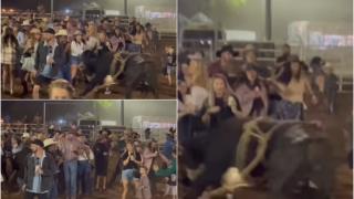 Clipe de panică în Australia de Vest, după ce un taur a scăpat și a intrat în mulțimea care dansa în arenă. Doi oameni au fost răniți
