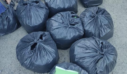 Doi fermieri din Buzău stropeau legumele cu soluţii la o concentraţie interzisă. Le forţau coacerea ca să le vândă când preţul este mai mare. Ajungeau şi pe rafturile BIO