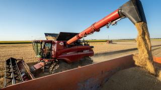Ungaria vrea prelungirea restricțiilor pentru importurile de cereale din Ucraina până la finalul anului 2023