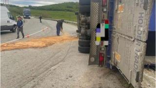 Accident de groază în Bistrița. Zeci de animale au murit, după ce un camion încărcat cu peste 400 de oi s-a răsturnat