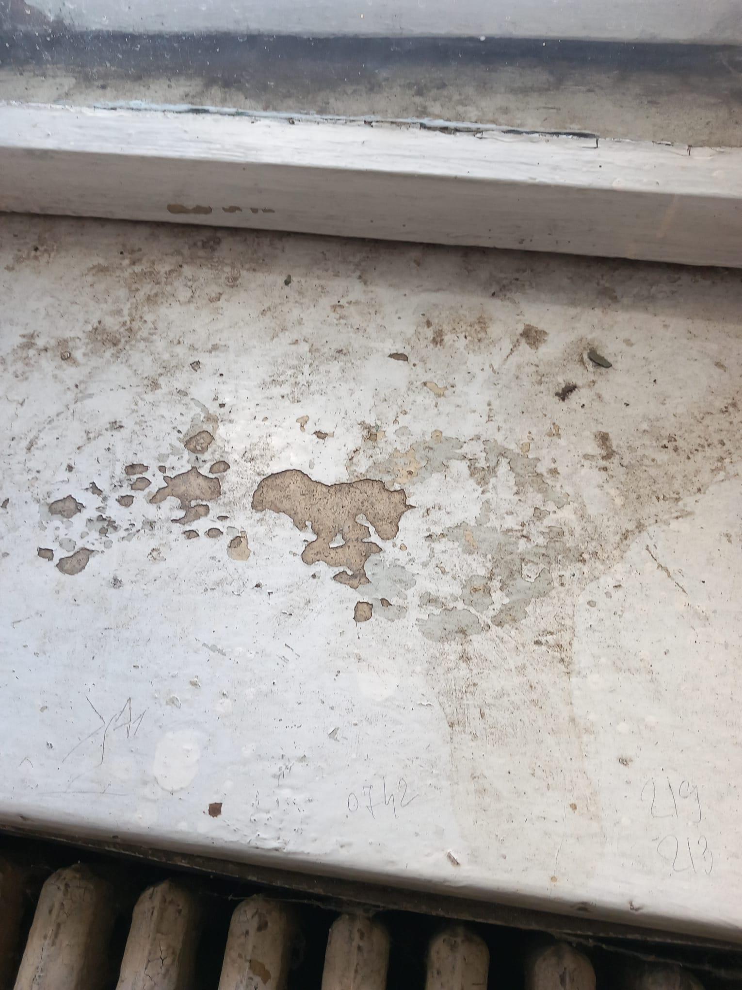 Amenzi usturătoare pentru mai multe gări din Galaţi, din cauza condiţiilor insalubre. Care au fost principalele abateri identificate