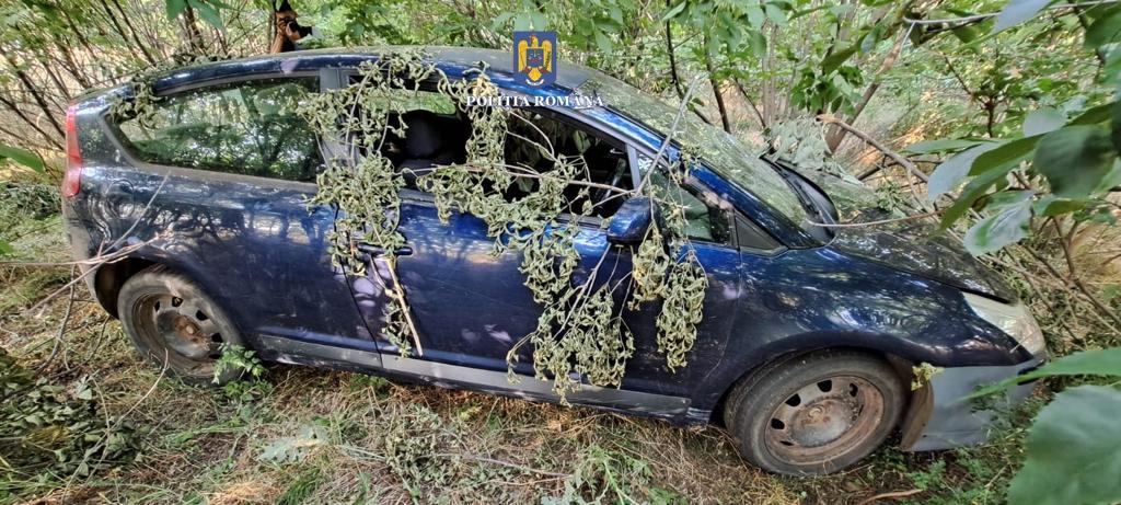 Şoferul din Galaţi care s-a izbit într-un copil şi a fugit, identificat de poliţişti. Nu avea permis şi a abandonat maşina într-o pădure