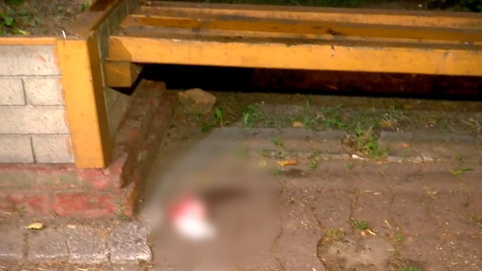 Dubla crimă din Timişoara. Soţ şi soţie, cei doi bătrâni ucişi în propria casă abia strânseseră banii furaţi de criminal, 12.000 de lei