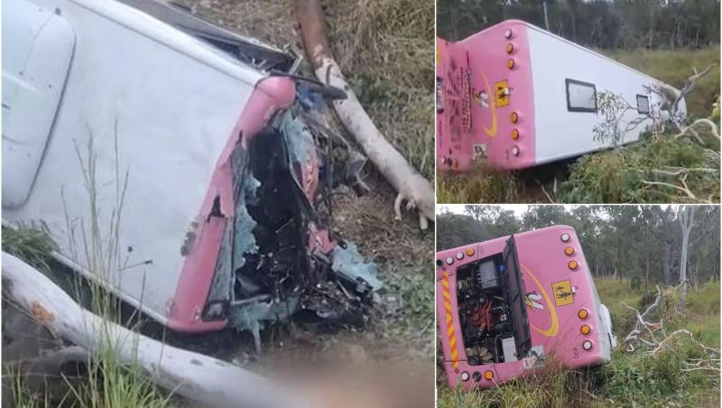 Sfârşit neobişnuit pentru un şofer din Australia. A "zburat" cu autobuzul în afara drumului după ce s-a izbit în două cămile rătăcite