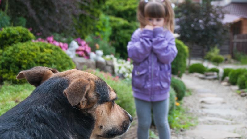 Copilaş de 3 ani, muşcat de câine sub ochii părintelui, pe o stradă din Lupeni. Animalul ar fi fugit din casa stăpânului într-o clipă de neatenţie
