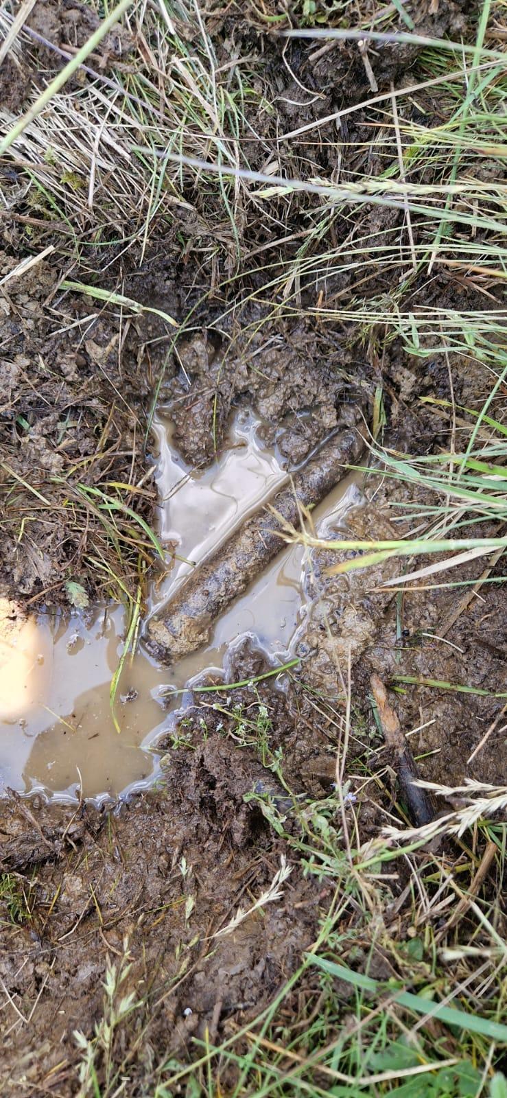 Muniţie descoperită cu detectorul de metale în Harghita