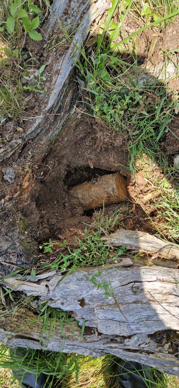 Muniţie descoperită cu detectorul de metale în Harghita