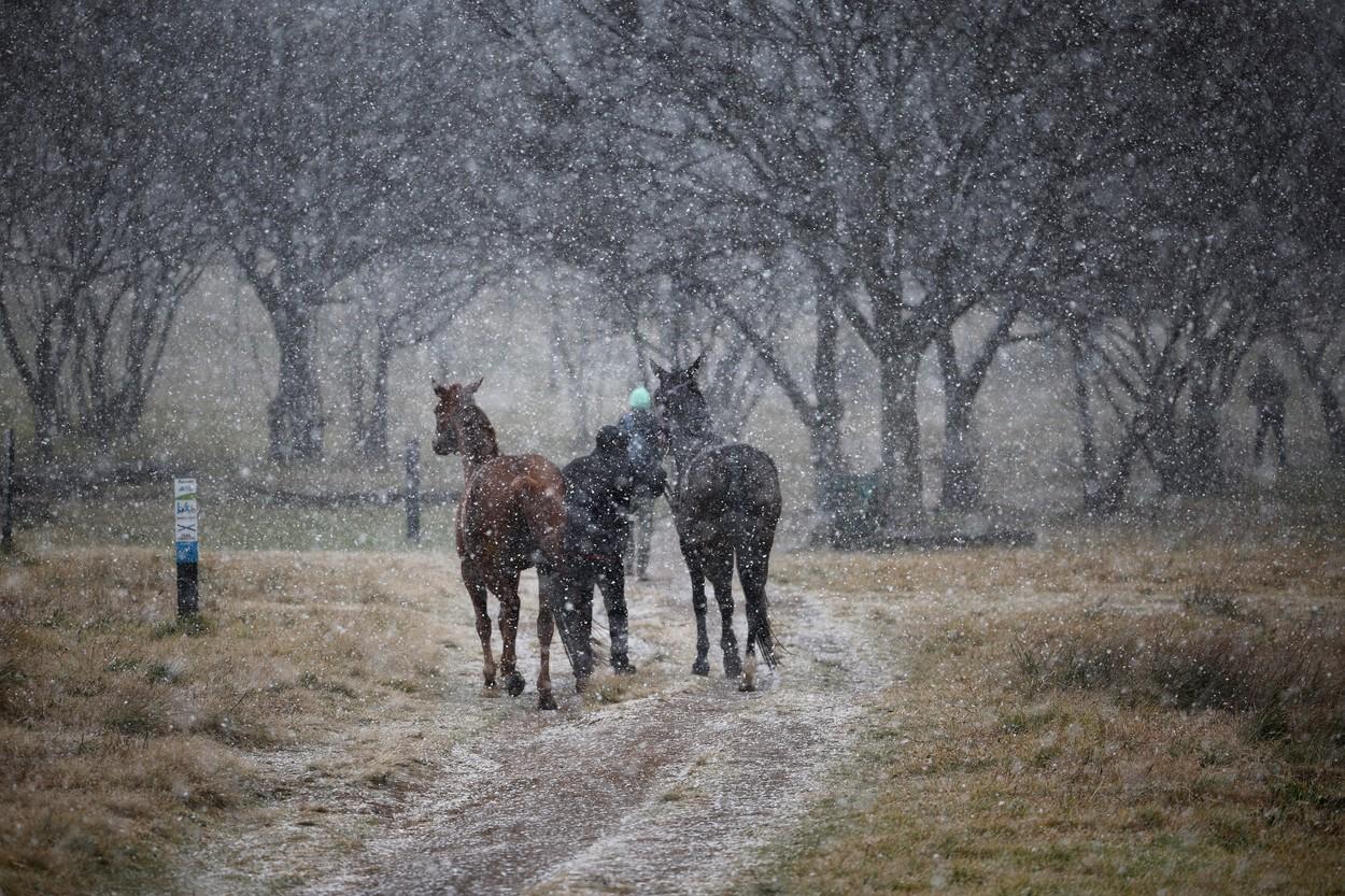 Johannesburg, peisaj de poveste cu prima ninsoare în 11 ani. Oamenii, impresionaţi de peisaj: "Magie pură"