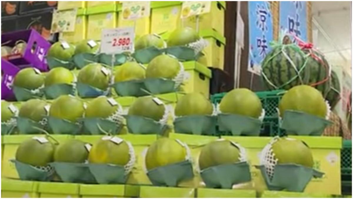 Fructul cultivat în Japonia care a uimit o lume întreagă. În cât timp au ajuns agricultorii la invenţia care se vinde acum cu 20 de dolari bucata Fructul cultivat în Japonia care a uimit o lume întreagă. În cât timp au ajuns agricultorii la invenţia care se vinde acum cu 20 de dolari bucata