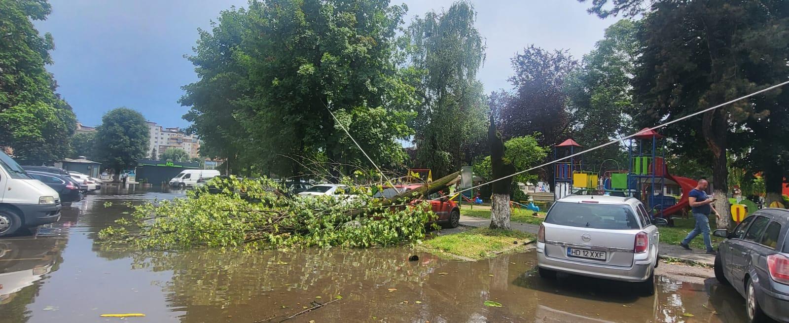 Vijeliile au produs pagube în Hunedoara. Un acoperiş de 90 de metri şi mai mulţi copaci smulse de vânt au căzut direct pe maşinile oamenilor