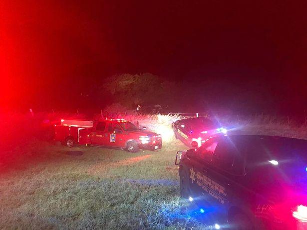 Femeie însărcinată în 7 luni, moartă după ce a lovit cu maşina un aligator de 4 metri, pe o autostradă din Texas