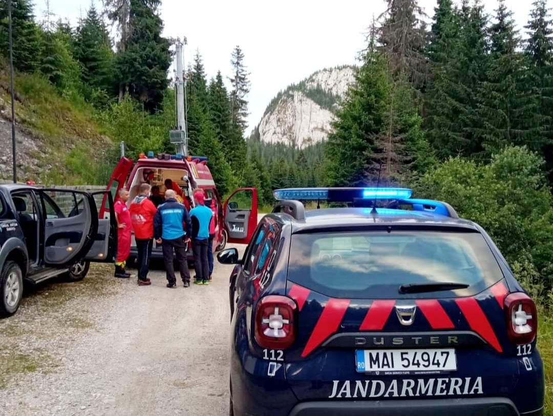 Un bărbat a fost atacat de un urs la o stână din Dâmboviţa