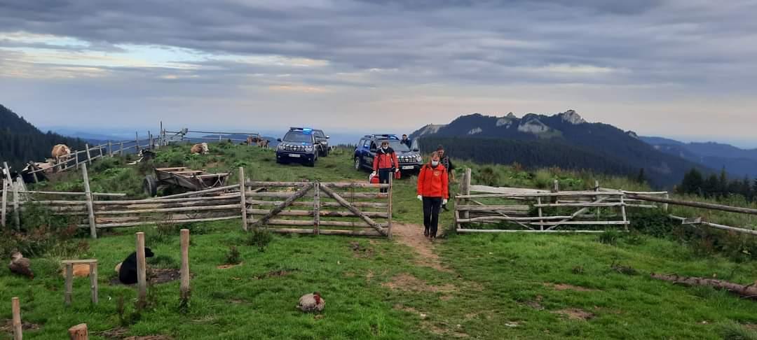 Un bărbat a fost atacat de un urs la o stână din Dâmboviţa