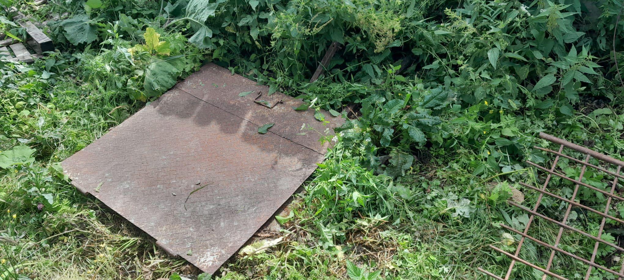 O ursoaică a fost salvată după ce a căzut în fosa septică a unui restaurant din Sinaia. Şi-a ţinut puiul pe creştet, pentru a-l ţine în viaţă