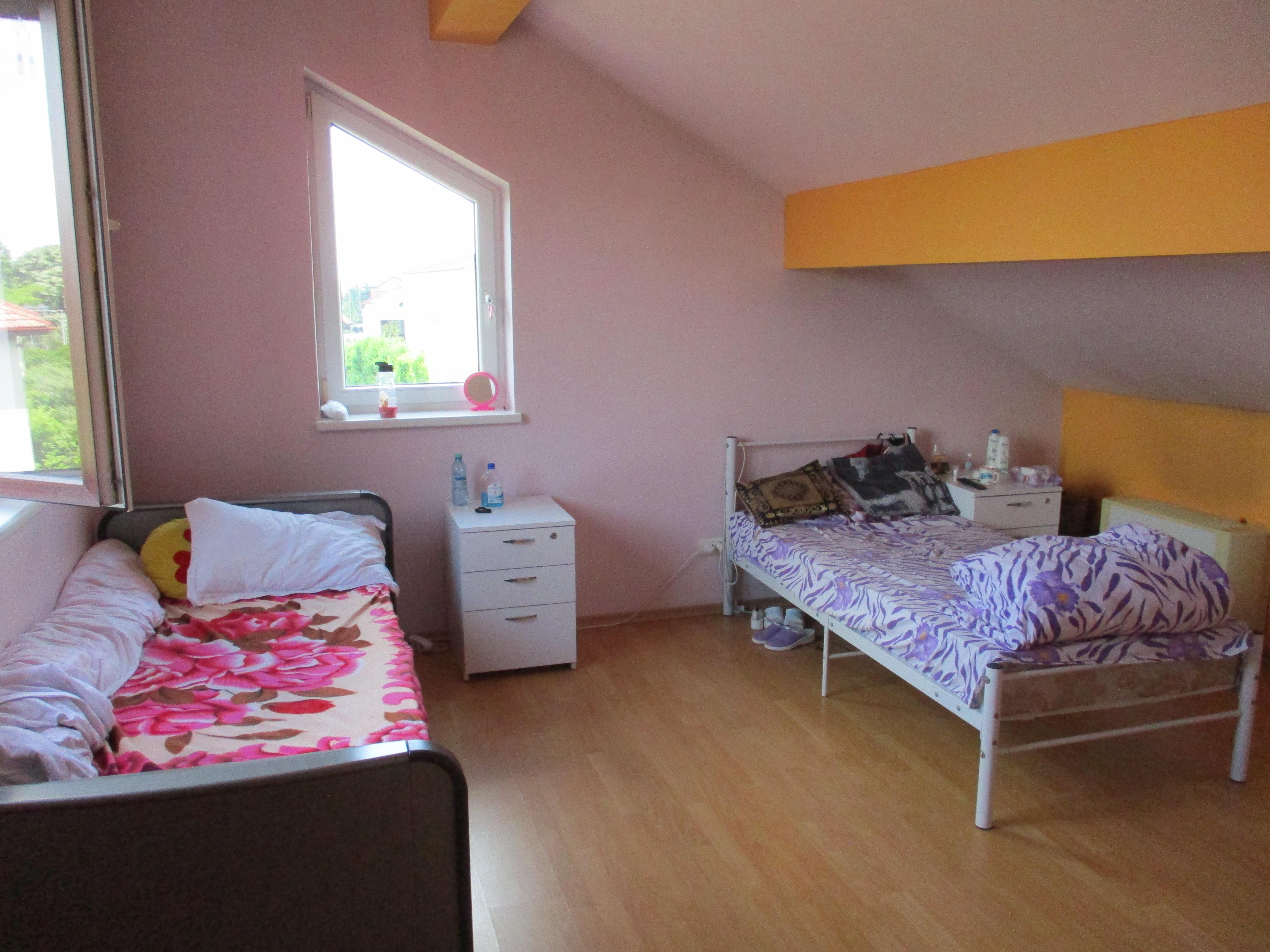 Ministrul Budăi explică acreditările primite de azilele groazei: La dosar aveau poze în care arătau ca la "un hotel de lux"