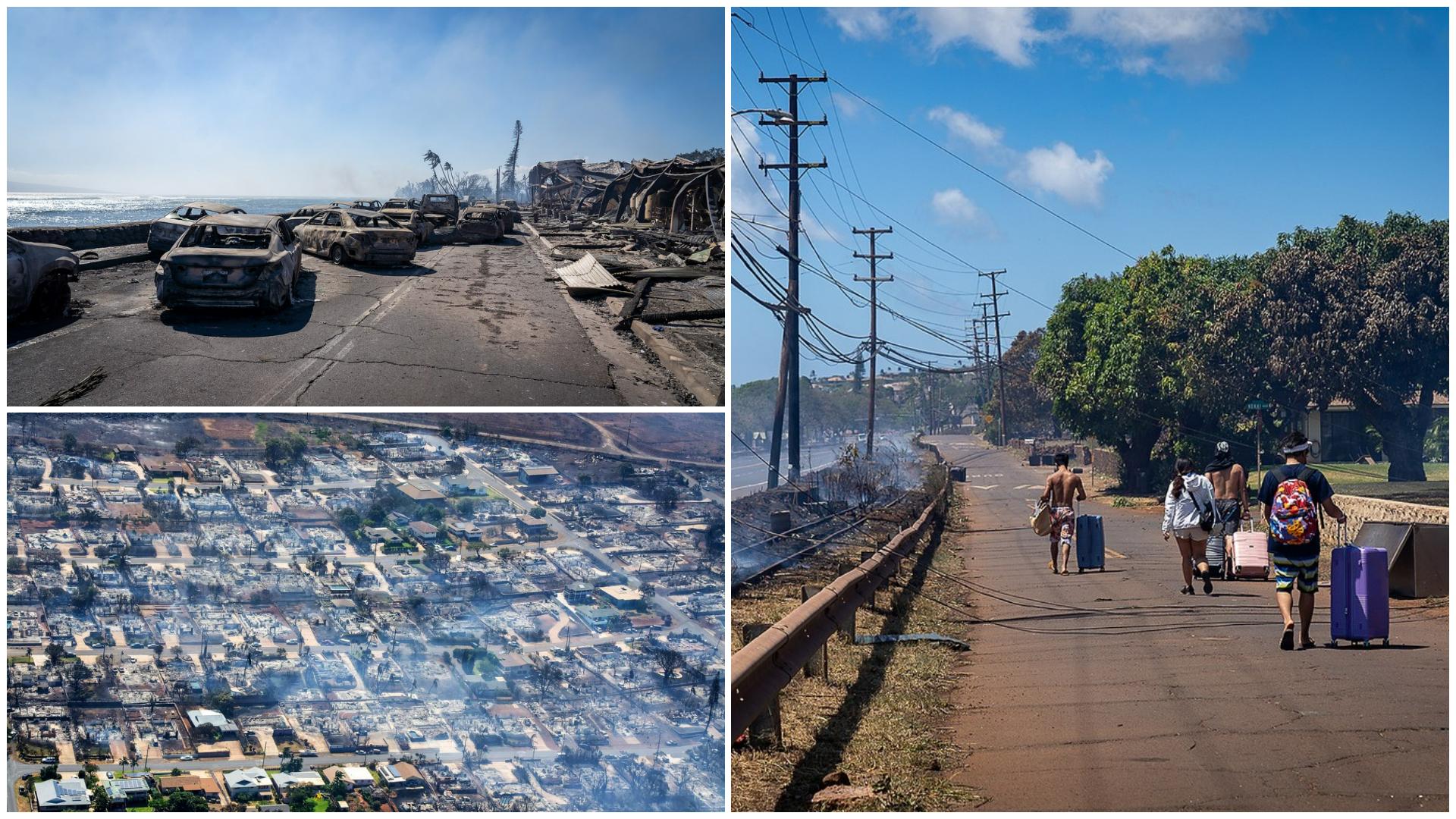 Incendiile de vegetaţie din Hawaii