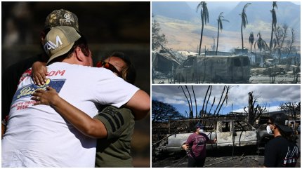 Incendiile de vegetaţie din Hawaii