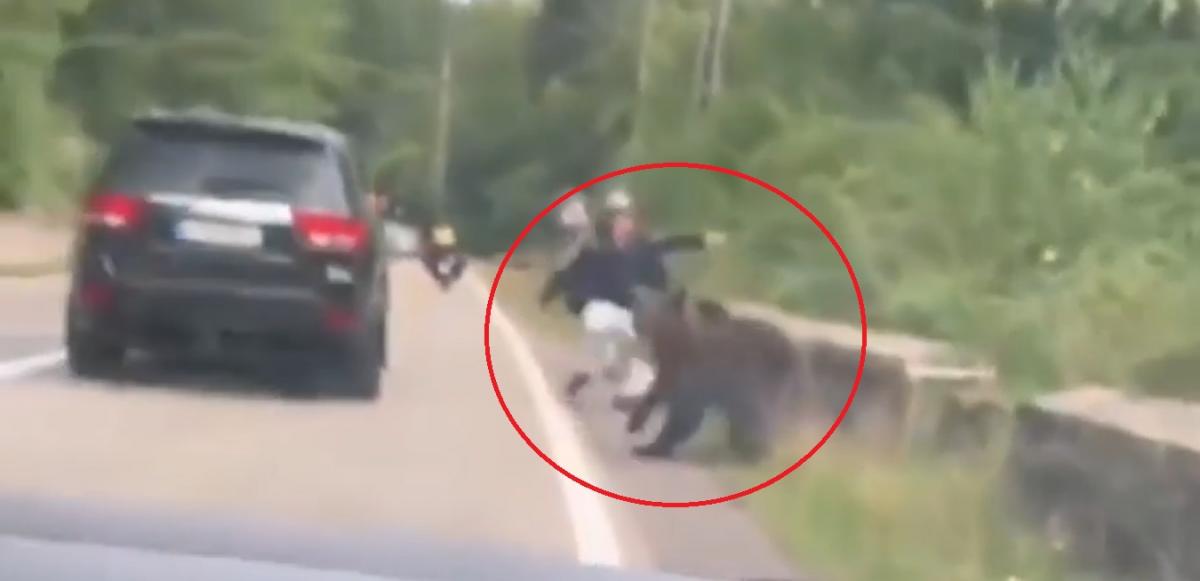 "Dacă voia, îl făcea bucăți". Un turist a scăpat cu viaţă după ce a vrut să hrănească ursul pe Transfăgărăşan: animalul l-a pus jos, dar nu a continuat atacul "Dacă voia, îl făcea bucăți". Un turist a scăpat cu viaţă după ce a vrut să hrănească ursul pe Transfăgărăşan: animalul l-a pus jos, dar nu a continuat atacul