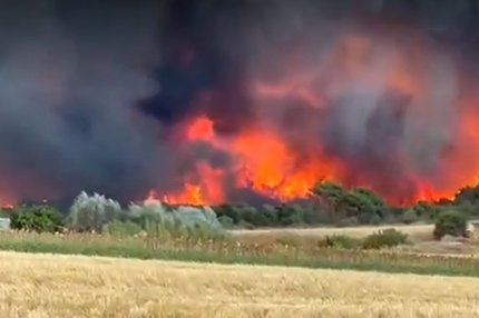 Descoperire macabră: 18 cadavre într-o pădure din Grecia