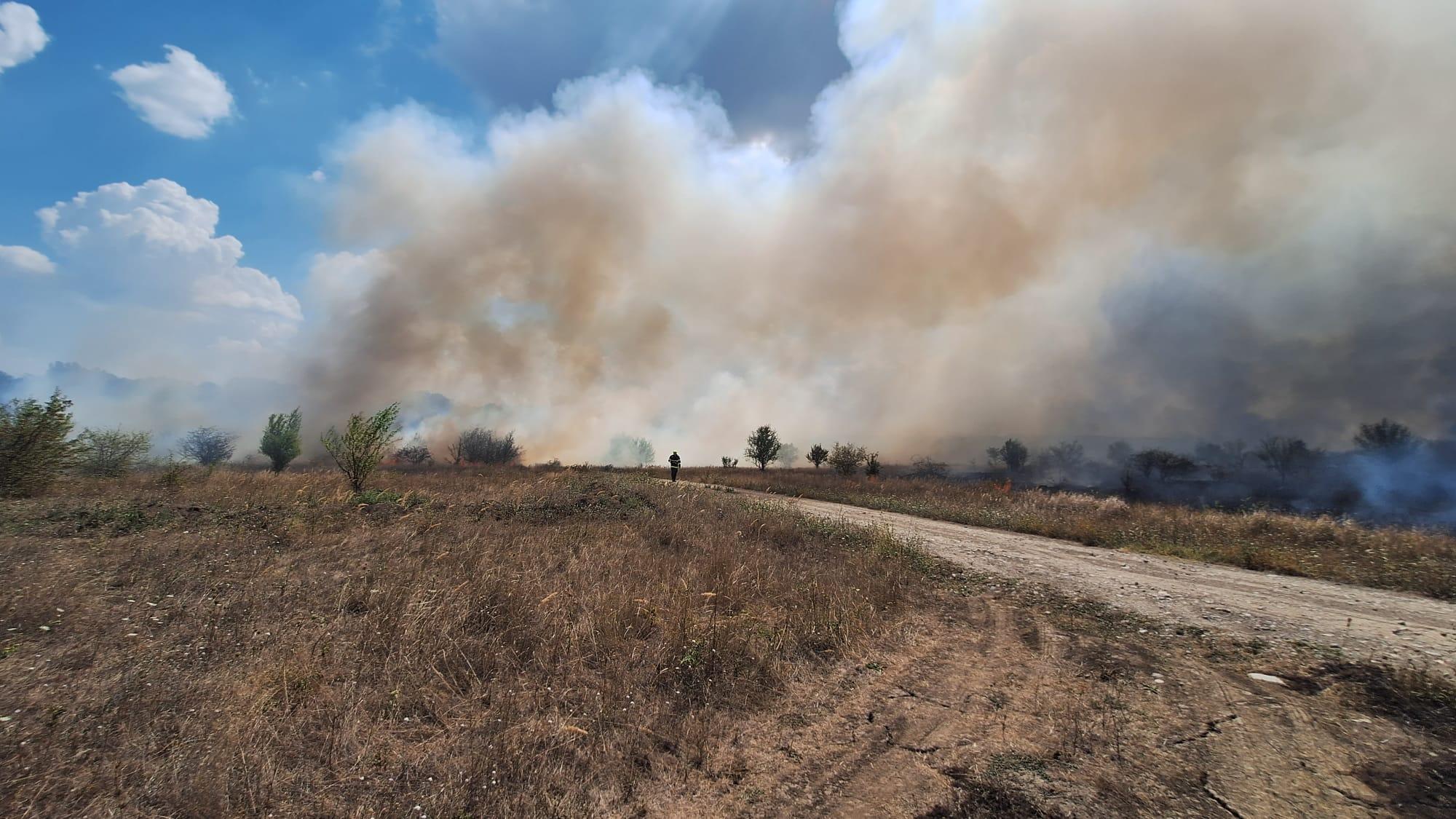 Incendiu de vegetaţie în Băneasa: flăcările au cuprins 30 de hectare, o locuinţă a fost afectată. Imagini filmate cu drona