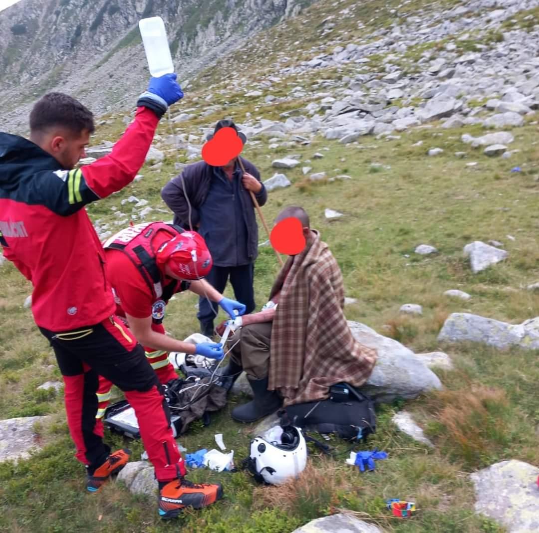 Bărbat muşcat de ureche de o viperă, în Parâng. Un elicopter SMURD l-a transportat de urgenţă de spitalul din Sibiu