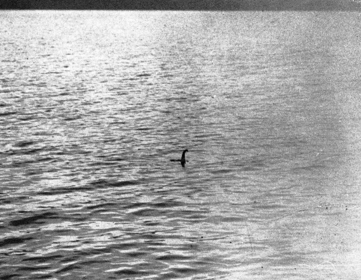 fotogradie cu așa zisul monstrul din Loch Ness