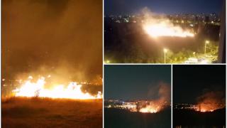 Incendiu în parcul IOR. Focul s-a extins pe o suprafaţă de 4.000 de metri pătraţi