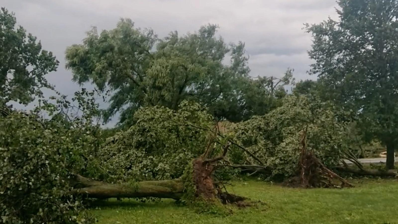 Mii de pompieri se luptă cu incendiile de vegetaţie din Spania şi Portugalia. Localnicii au făcut un zid uman şi i-au ajutat să care apă