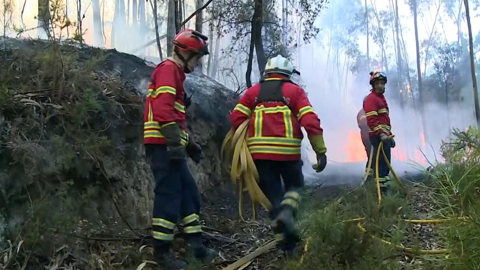 Mii de pompieri se luptă cu incendiile de vegetaţie din Spania şi Portugalia. Localnicii au făcut un zid uman şi i-au ajutat să care apă