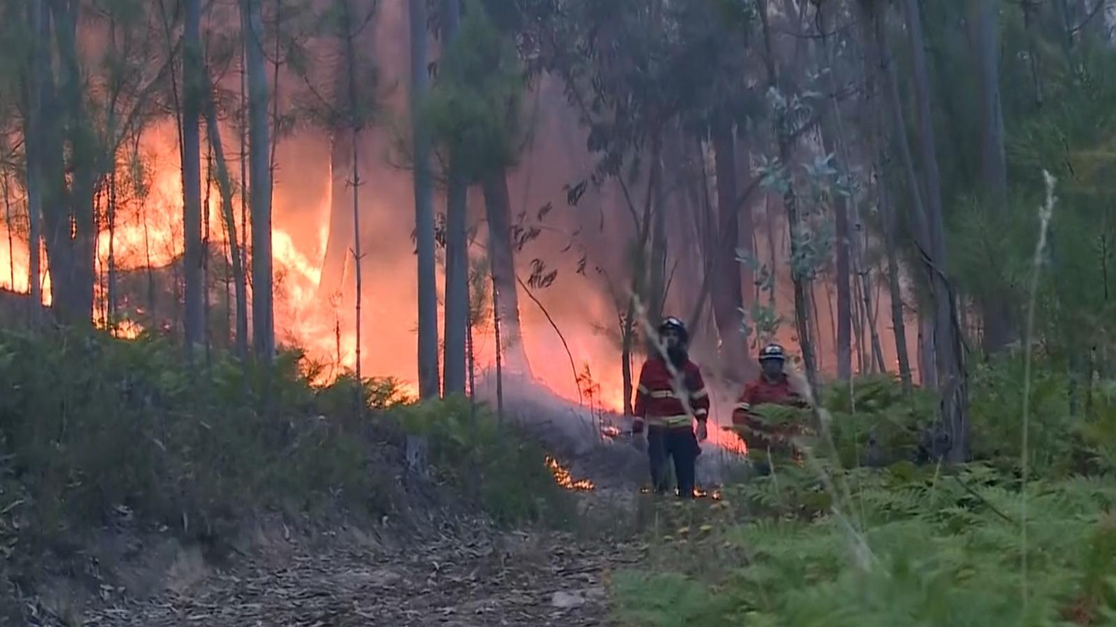 Mii de pompieri se luptă cu incendiile de vegetaţie din Spania şi Portugalia. Localnicii au făcut un zid uman şi i-au ajutat să care apă